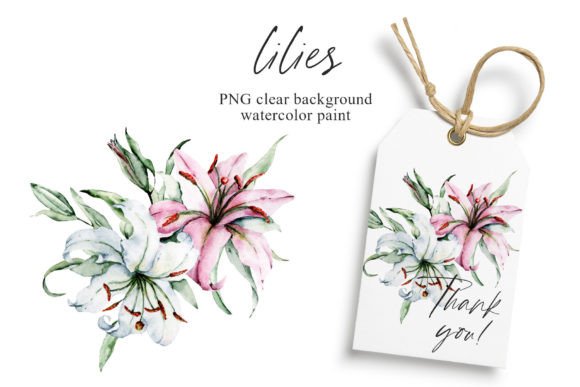 Download Pink and White Flowers Lilies, PNG. - White flowers Collection