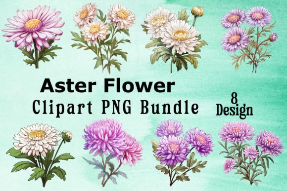 Download Aster Flower Clipart Bundle - Aster flower clipart Collection