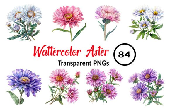 Download Watercolor Aster Flower Clipart - Aster flower clipart Collection