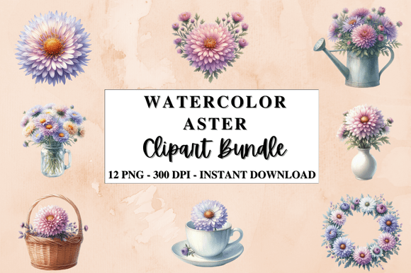 Download Watercolor Aster Flower Clipart Bundle - Aster flower clipart Collection