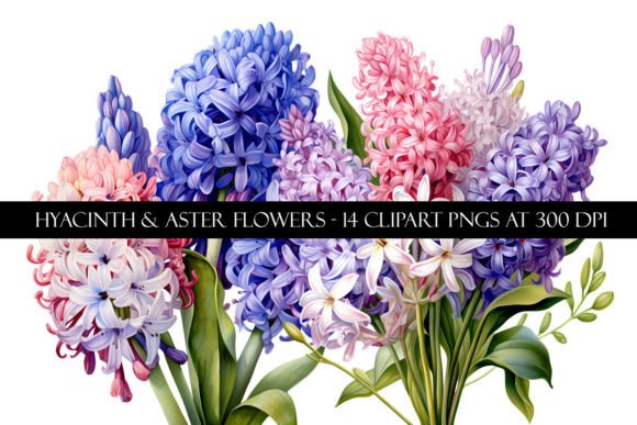 Download Hyacinth and Aster Flower Clipart - Aster flower clipart Collection